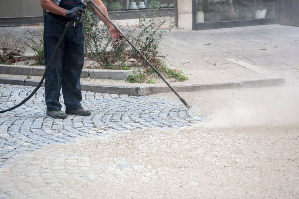 Best Restaurant Pressure Washing  in Despard, WV